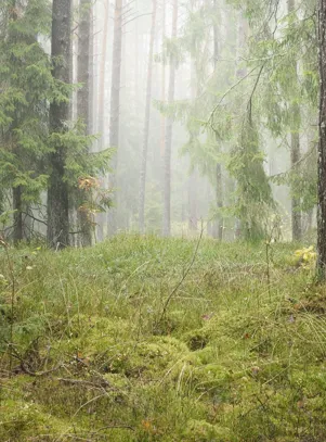 Adobestock 482583952