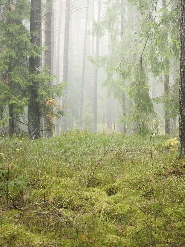 Adobestock 482583952