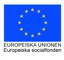 EU Flagga ESF I Färg