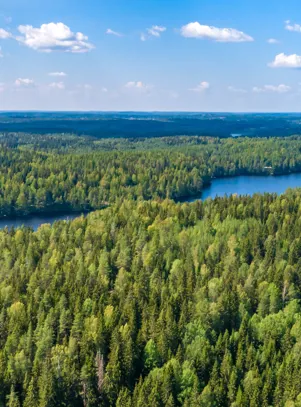 Adobestock 336609395