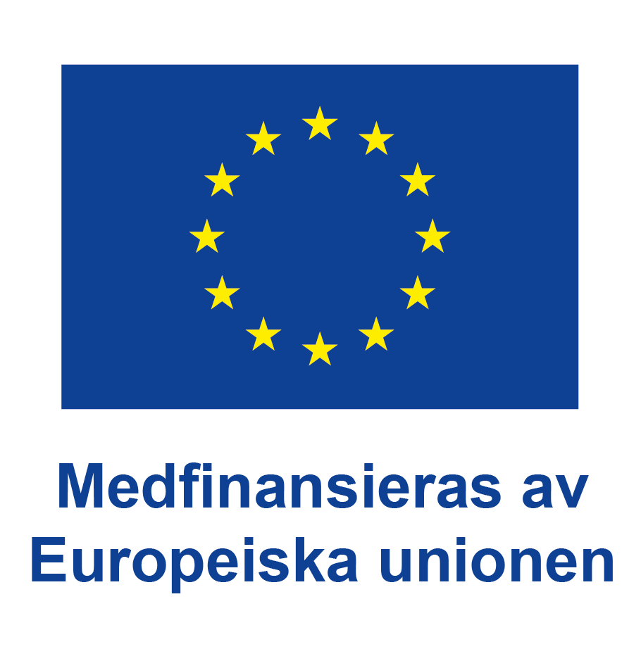 EU Logga Europeiska Unionen Aktuell 2025 (2)